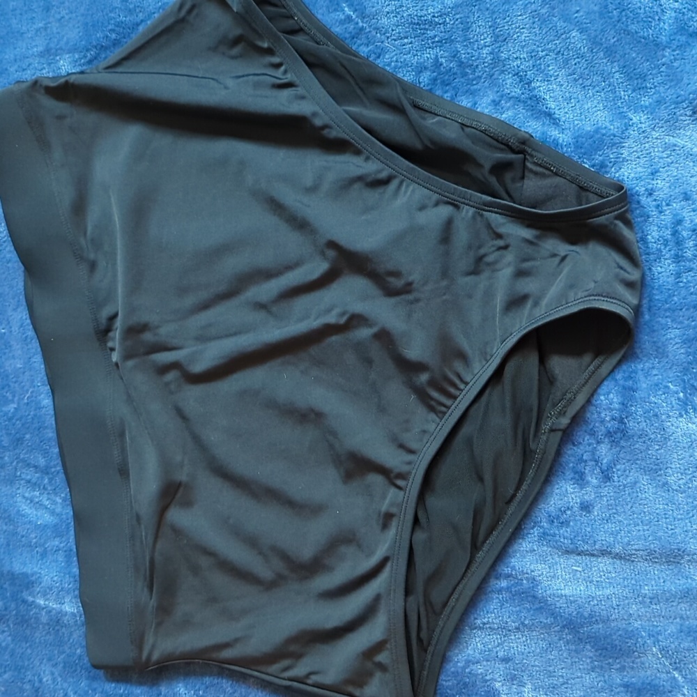 Cacique high waisted swim bottom